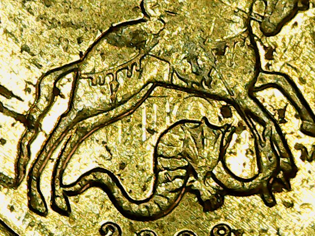 sena coins